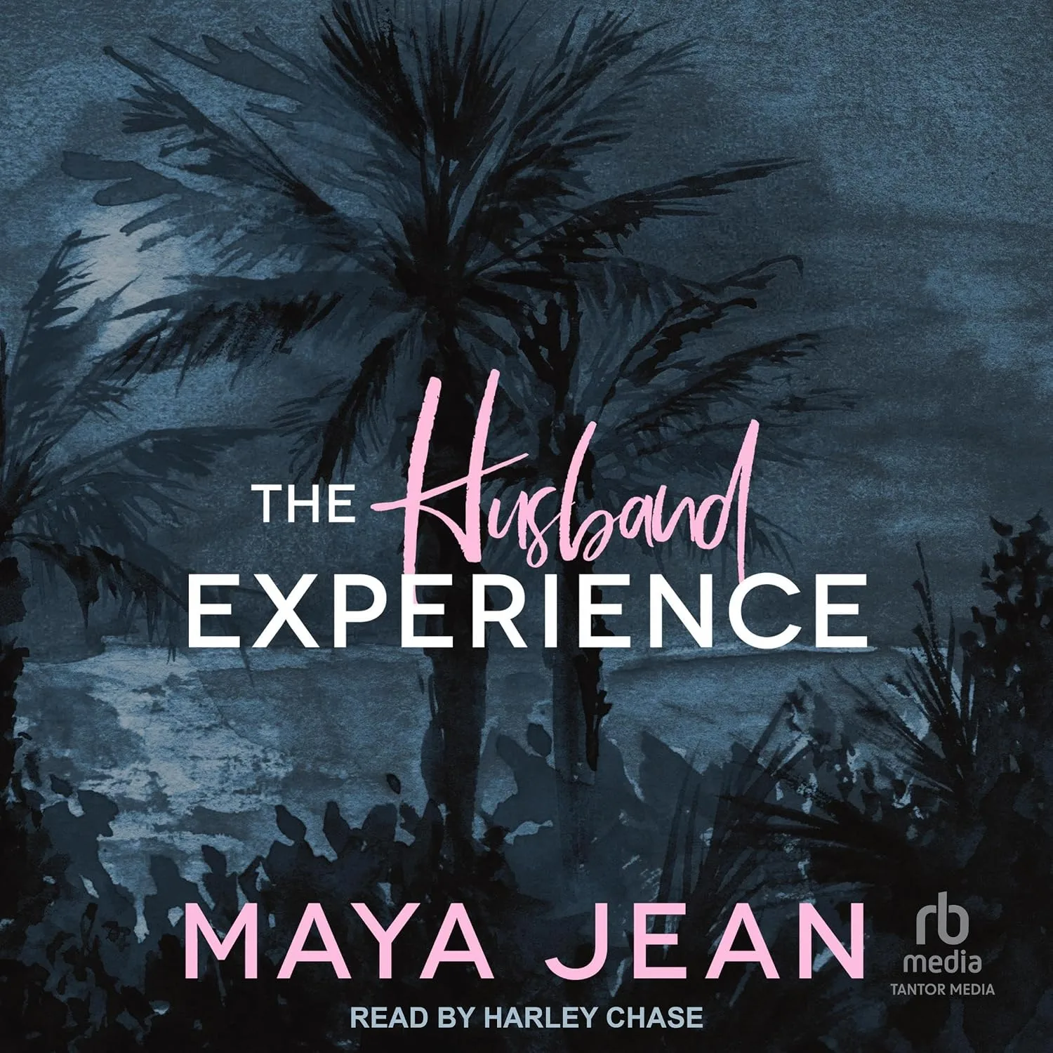 Portada de The Husband Experience