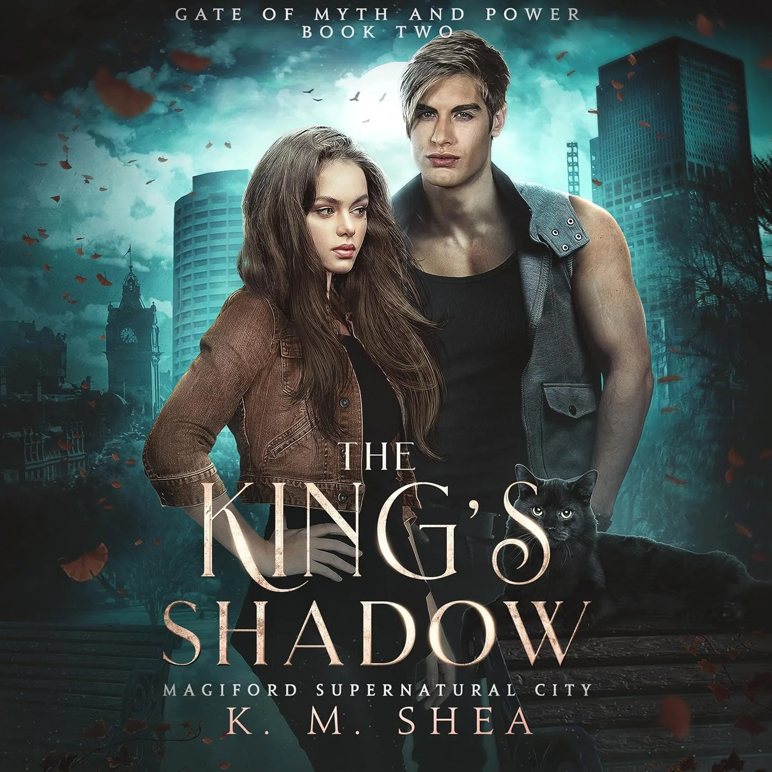Portada de The King's Shadow