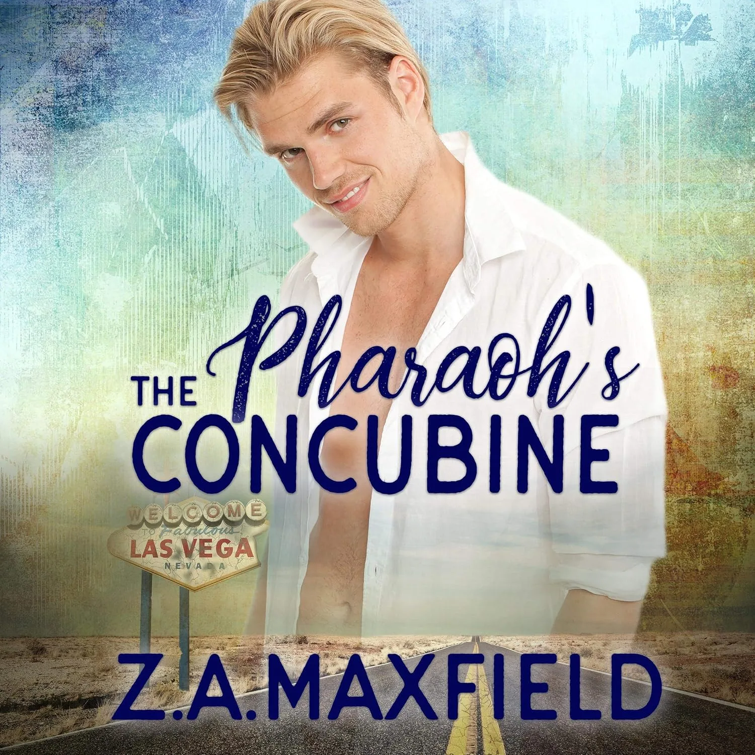 Portada de The Pharaoh's Concubine