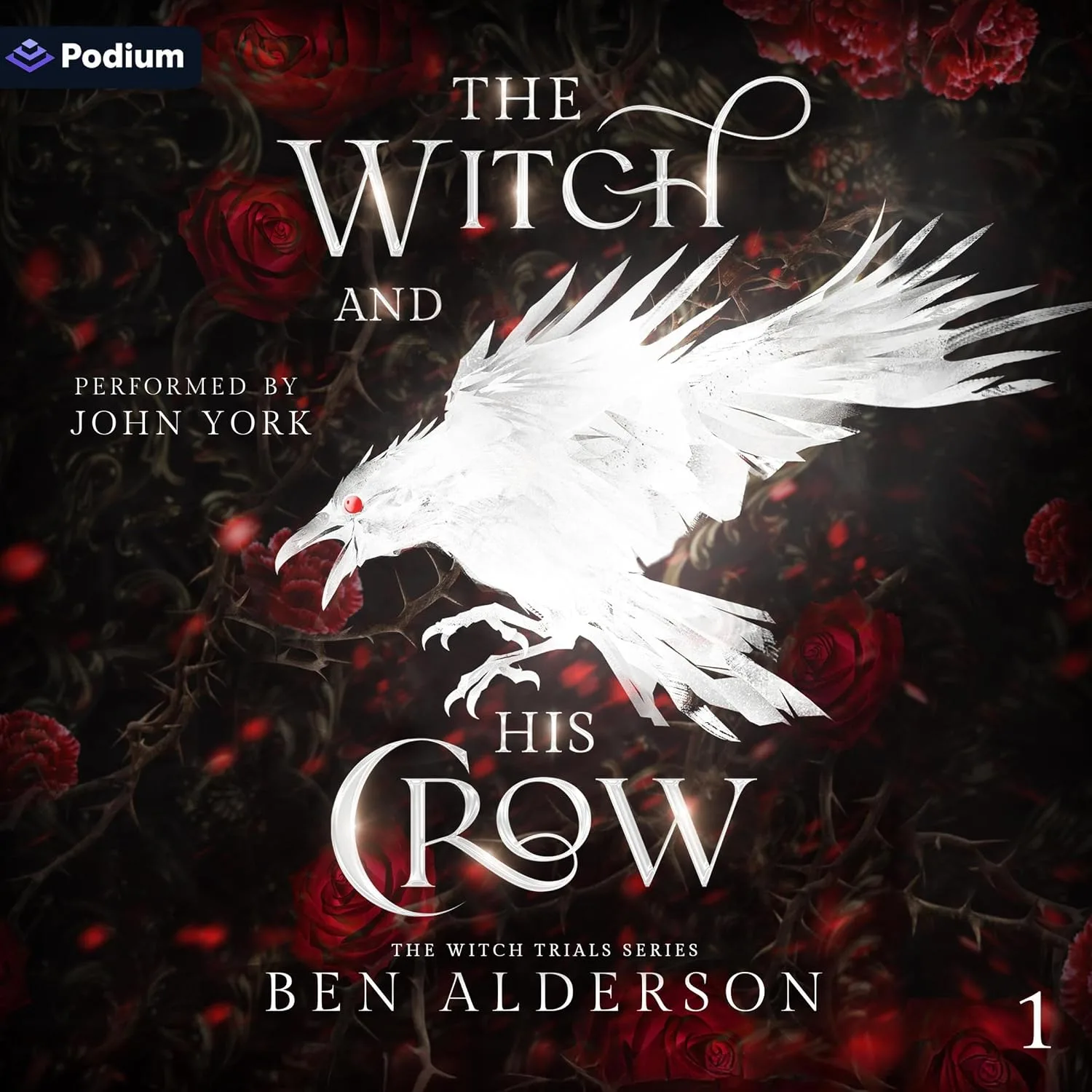 Portada de The Witch and His Crow