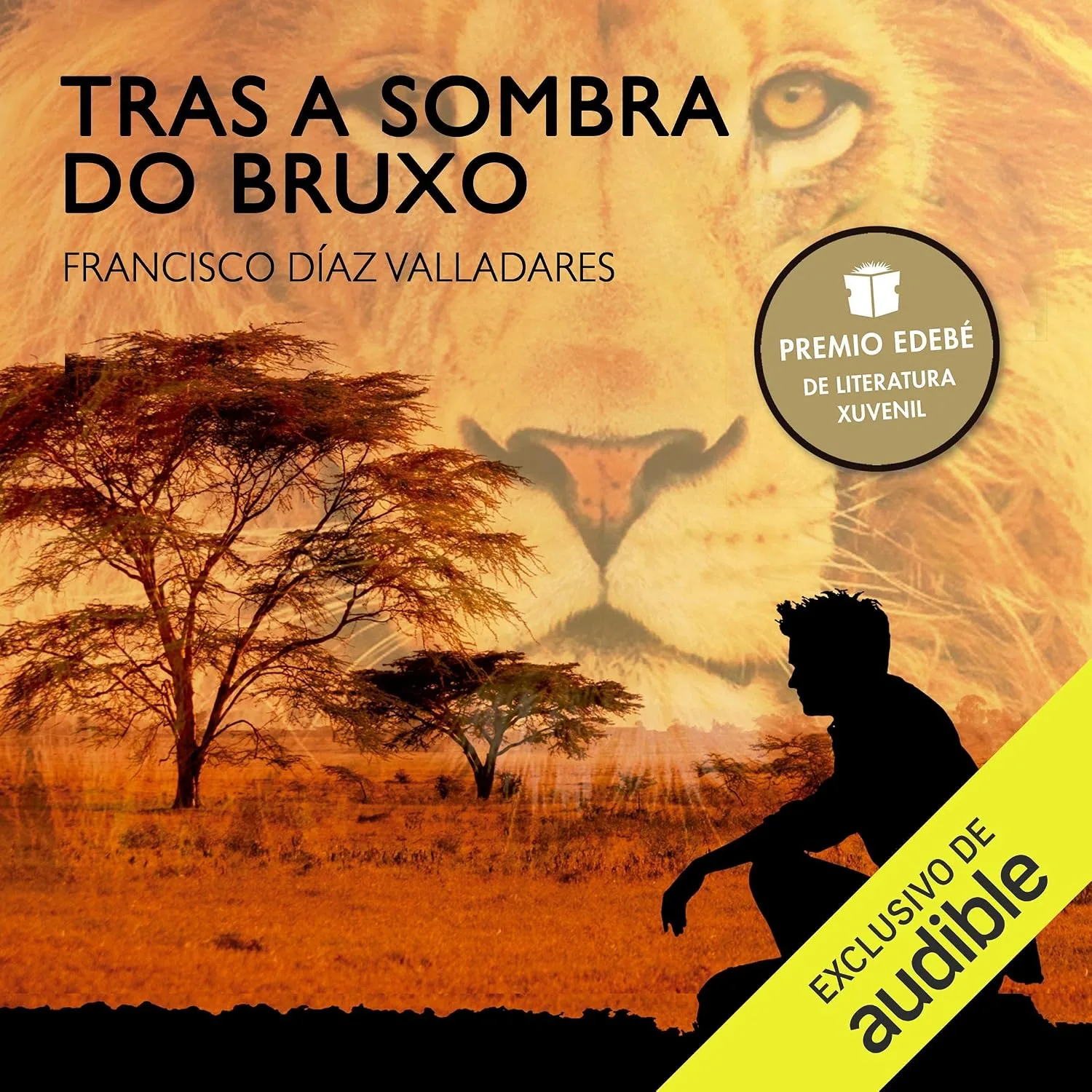 Portada de Tras a sombra do bruxo