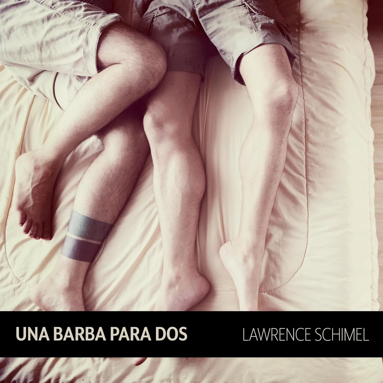 Portada de Una barba para dos: y otros 99 microrrelatos eróticos