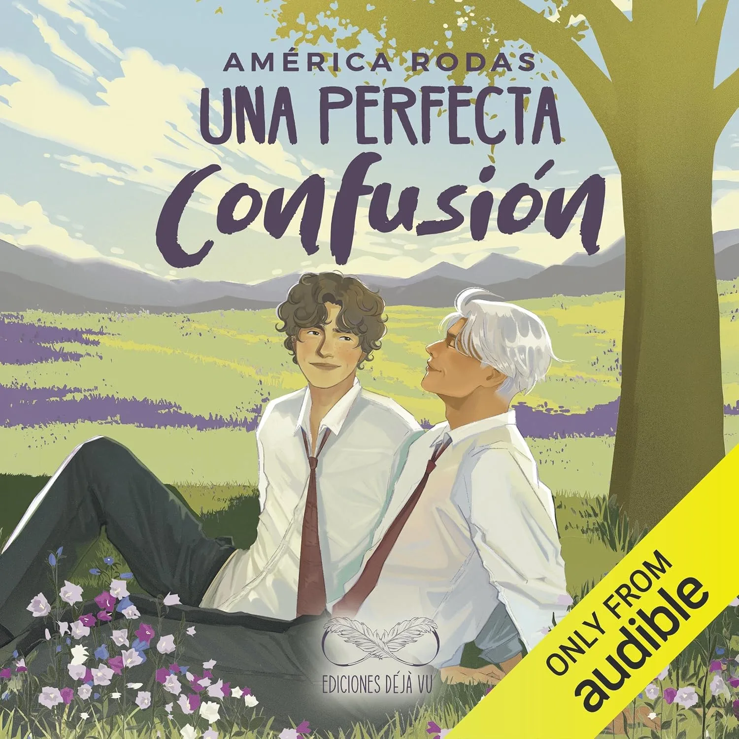 Portada de Una perfecta confusión