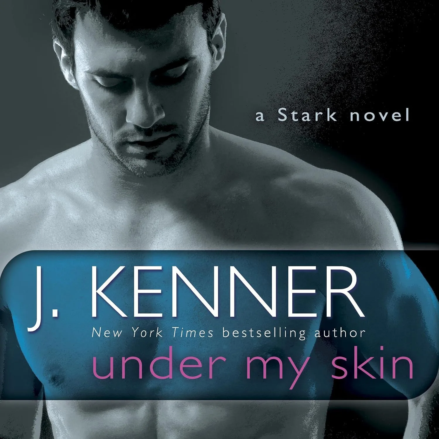 Portada de Under My Skin: A Stark Novel