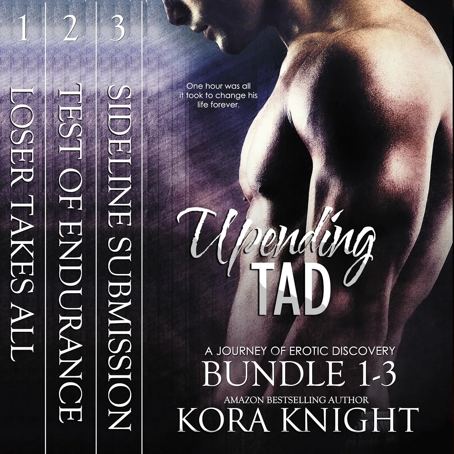Portada de Upending Tad Bundle