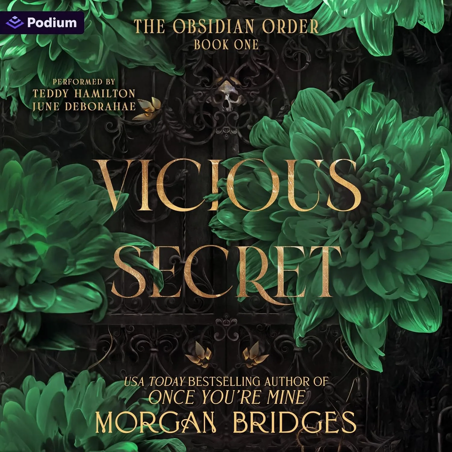 Portada de Vicious Secret