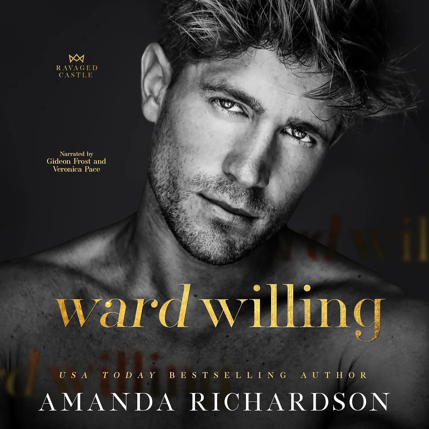 Portada de Ward Willing: Ravaged Castle