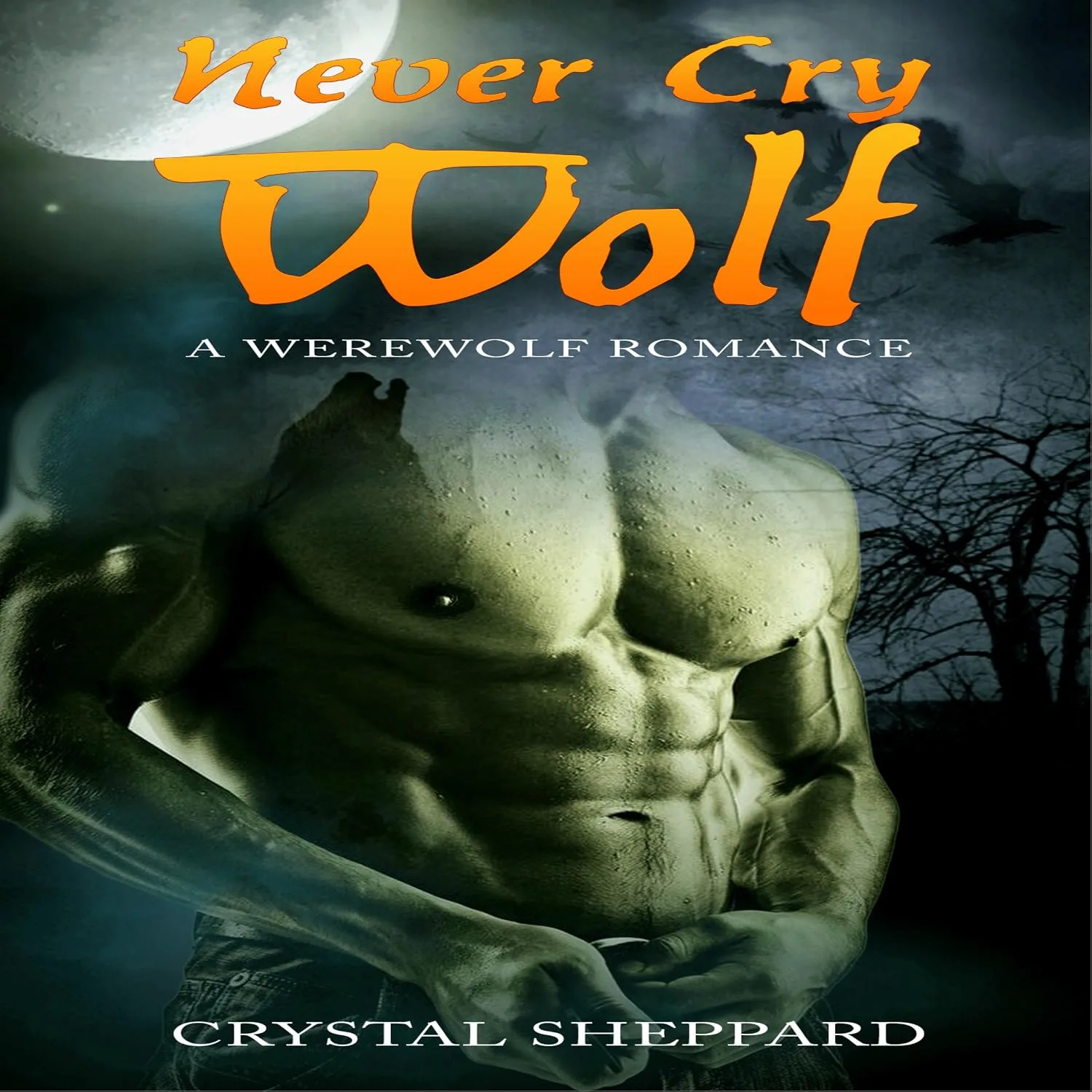 Portada de Werewolf Romance: Never Cry Wolf: Contemporary Fantasy Short Story