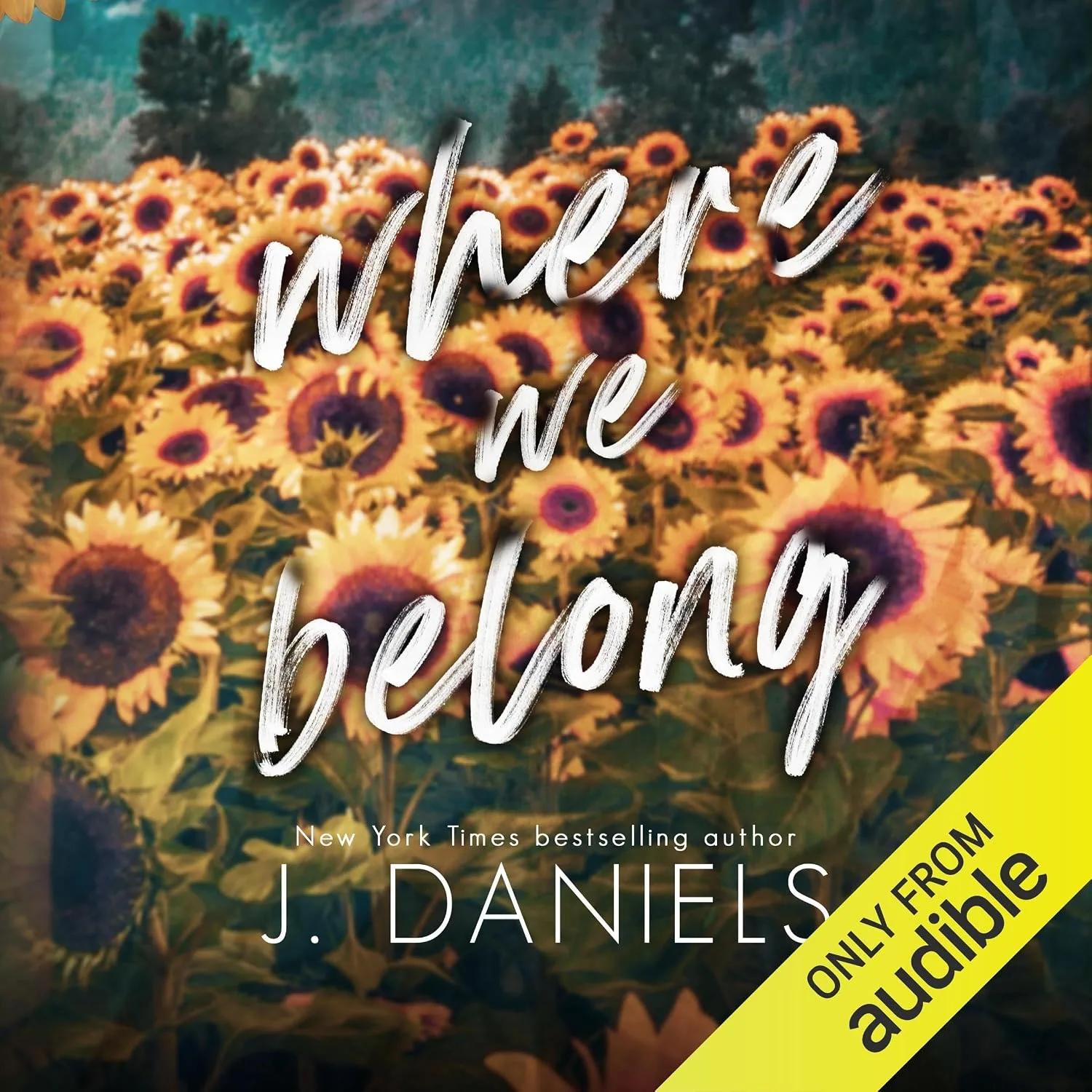 Portada de Where We Belong