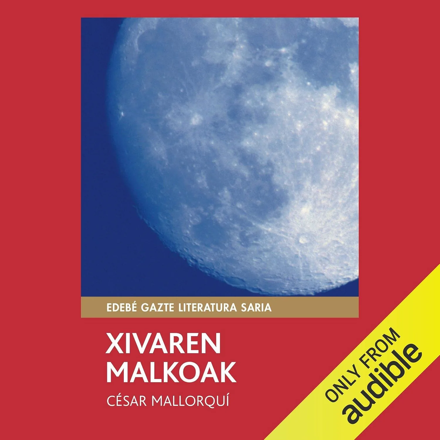 Portada de Xivaren Malkoak: Premio Edebé de literatura Juvenil 2002 (Premio Edebé)