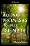 Algunas promesas son para siempre de Viktoria Yocarri