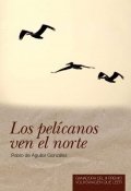 Los pelícanos ven el norte de Pablo de Aguilar González