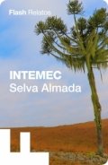 Intemec de Selva Almada