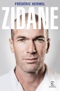 Zidane de Frédéric Hermel